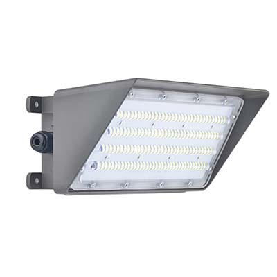 N00790  100W LED wall light