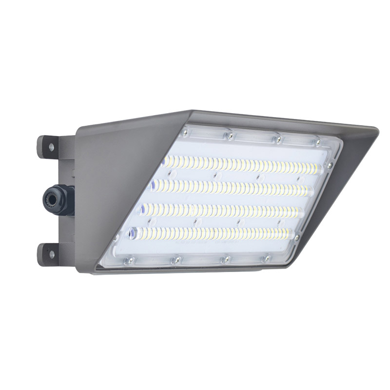 N00790  100W LED wall light