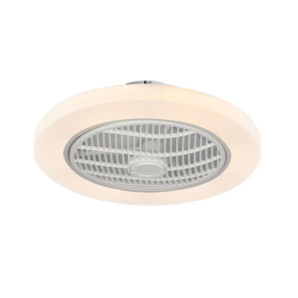 N01100  Ceiling fan light