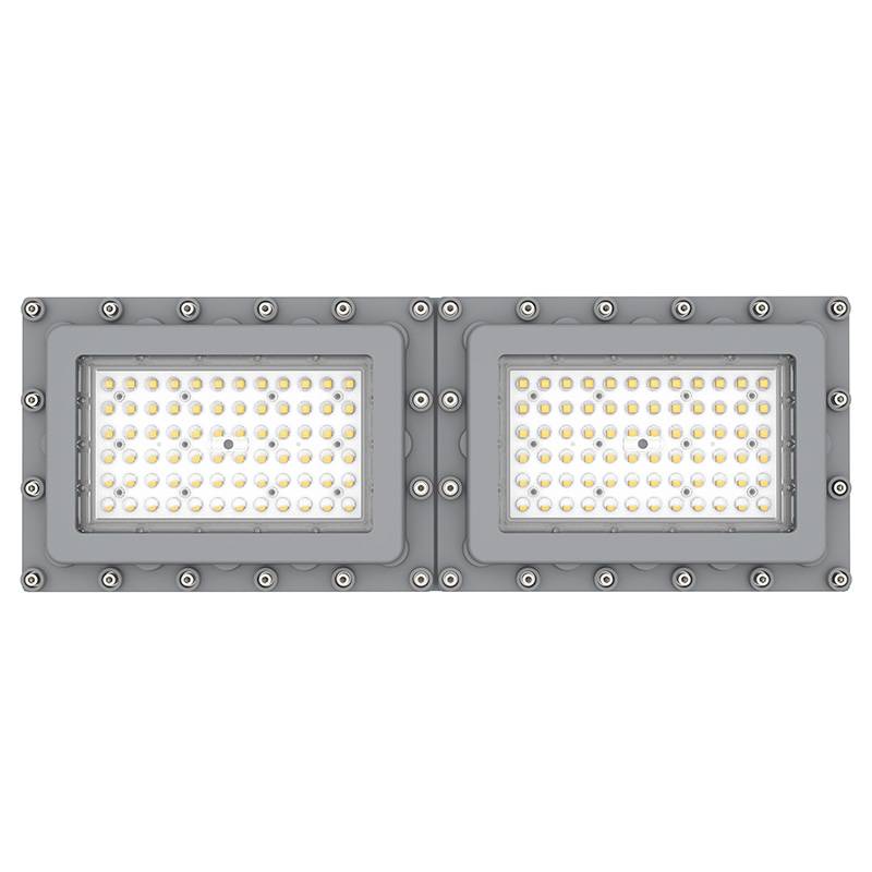 N01210  危险场所Led线性灯具